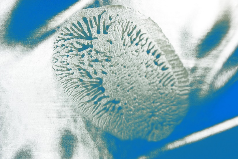 Fingerprint 1, 2010, Giclée 40 x 60 cm