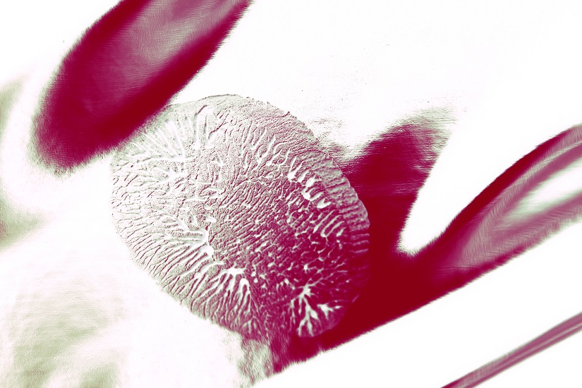Fingerprint 2, 2010, Giclée 40 x 60 cm
