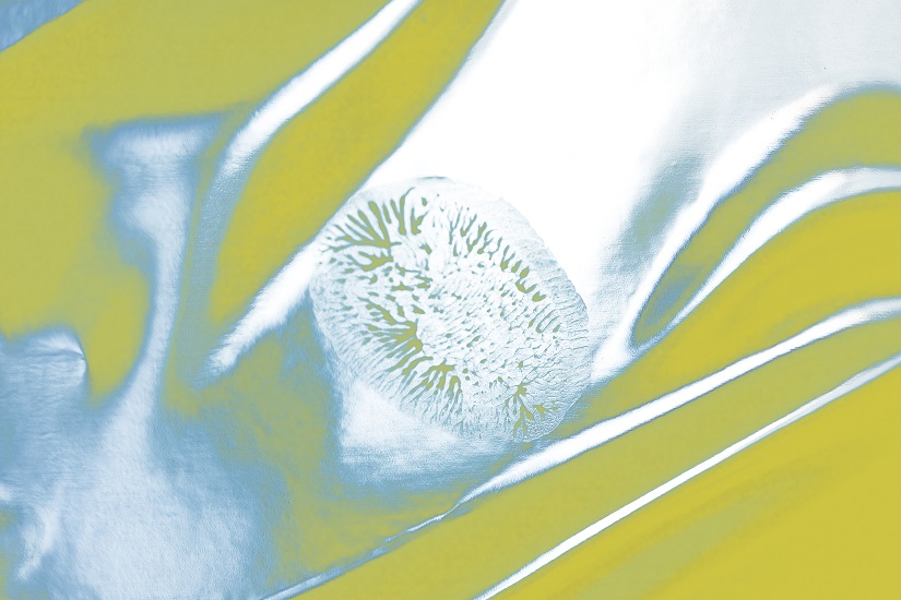 Fingerprint 3, 2010, Giclée 40 x 60 cm